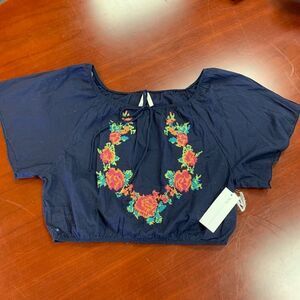Truth nyc Blue Boho Embroidered Blouse sz L NWT